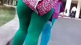 جلس الجمال على الديك ...