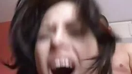 الانفجارات الحمار في ...