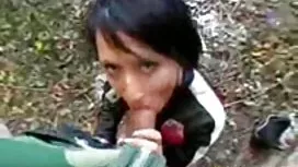 ديك بيضاء كبيرة مارس ...