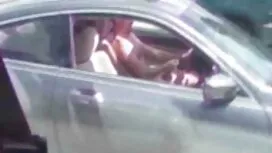 الزنجبيل تمتص ديك بف ...