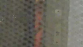 جبهة مورو هو سخيف با ...